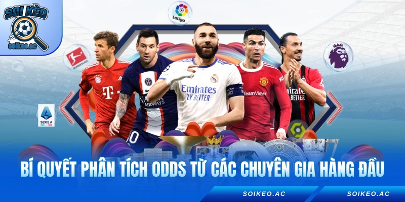 Bí quyết phân tích odds từ các chuyên gia hàng đầu