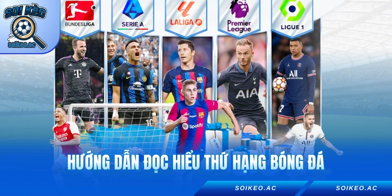 Hướng dẫn đọc hiểu thứ hạng bóng đá