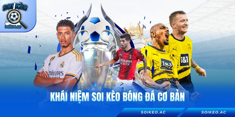 Khái niệm soi kèo bóng đá cơ bản cho người mới