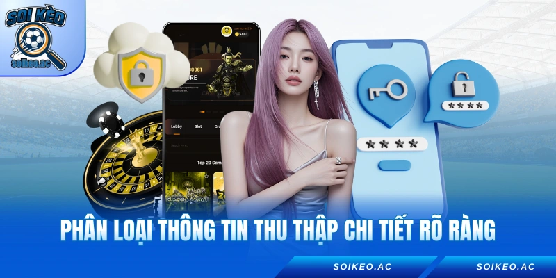 Phân loại thông tin thu thập chi tiết rõ ràng