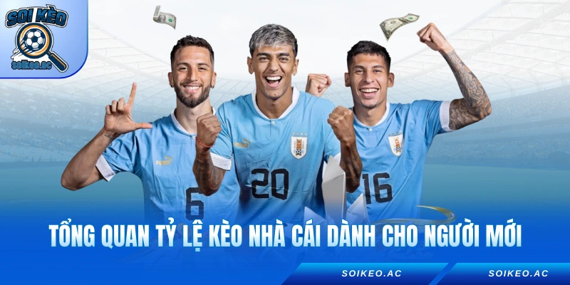 Tổng quan tỷ lệ kèo nhà cái dành cho người mới